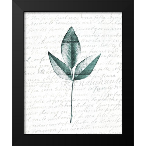 Pressed Leaves 2 Black Modern Wood Framed Art Print by Kimberly, Allen