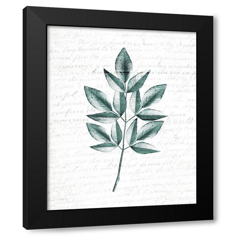 Pressed Leaves 3 Black Modern Wood Framed Art Print by Kimberly, Allen