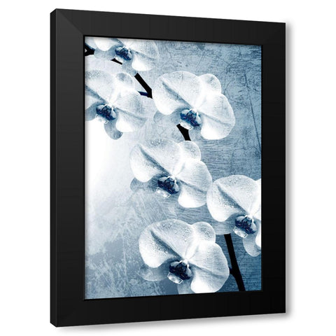 Climbing Orchids 2 Black Modern Wood Framed Art Print by Kimberly, Allen
