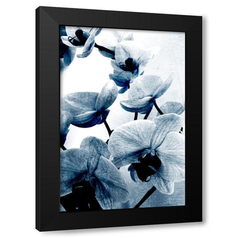 Climbing Orchids Black Modern Wood Framed Art Print with Double Matting by Kimberly, Allen