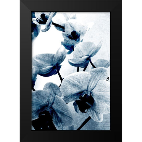 Climbing Orchids Black Modern Wood Framed Art Print by Kimberly, Allen