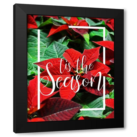 Tis the Season Foliage Black Modern Wood Framed Art Print with Double Matting by Kimberly, Allen