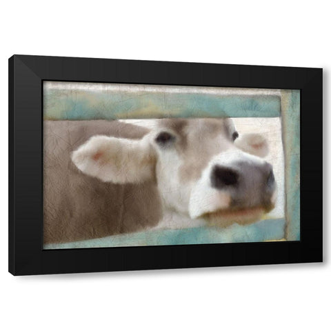 Out of the Fence Black Modern Wood Framed Art Print with Double Matting by Kimberly, Allen