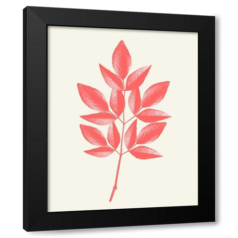 Coral Leaves 1 Black Modern Wood Framed Art Print by Kimberly, Allen
