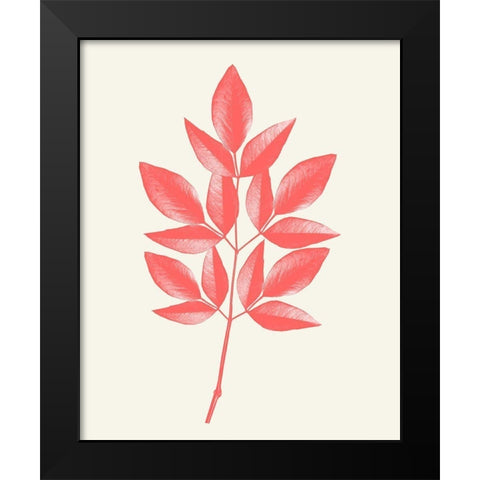 Coral Leaves 1 Black Modern Wood Framed Art Print by Kimberly, Allen