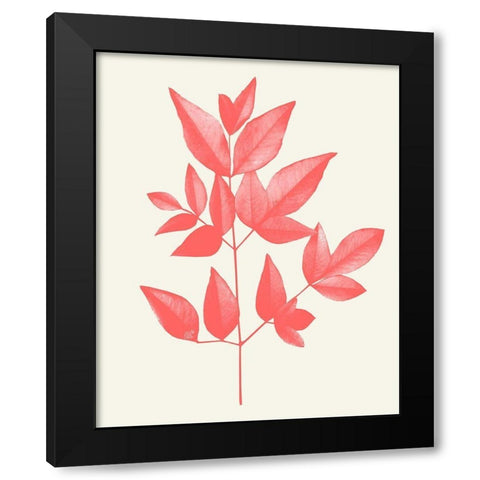 Coral Leaves 2 Black Modern Wood Framed Art Print by Kimberly, Allen