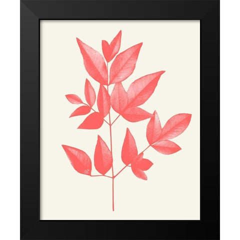 Coral Leaves 2 Black Modern Wood Framed Art Print by Kimberly, Allen