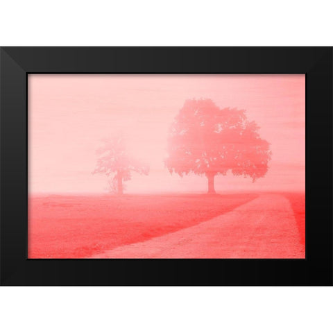 Dawn Black Modern Wood Framed Art Print by Kimberly, Allen