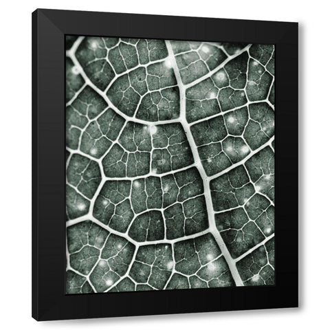 Eco 1 Black Modern Wood Framed Art Print by Kimberly, Allen