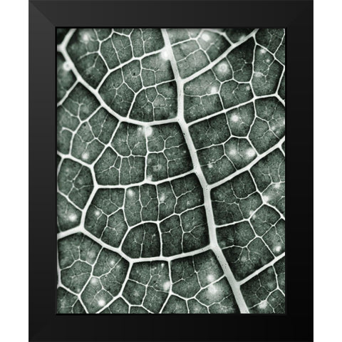 Eco 1 Black Modern Wood Framed Art Print by Kimberly, Allen