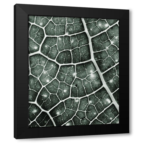 Eco 2 Black Modern Wood Framed Art Print with Double Matting by Kimberly, Allen