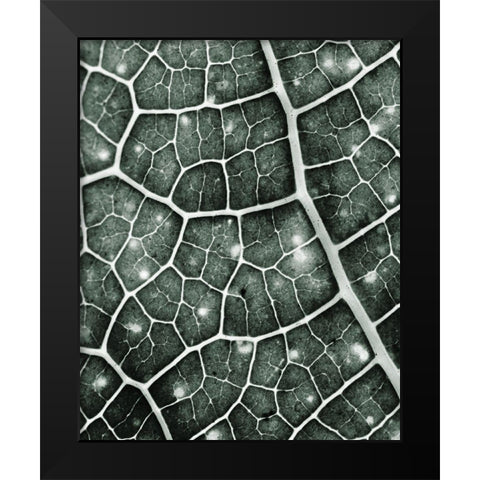 Eco 2 Black Modern Wood Framed Art Print by Kimberly, Allen