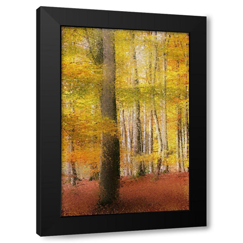 Golden Days Black Modern Wood Framed Art Print by Kimberly, Allen