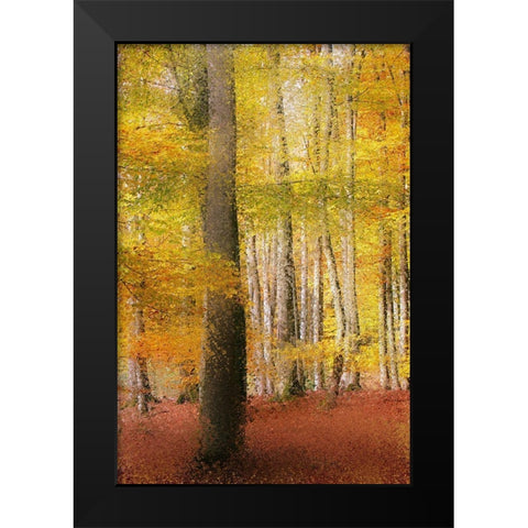 Golden Days Black Modern Wood Framed Art Print by Kimberly, Allen