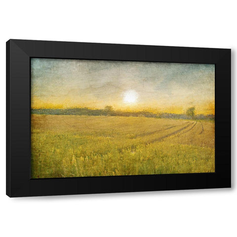 Already to Harvest Black Modern Wood Framed Art Print by Kimberly, Allen