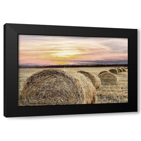 Farmers Harvest Black Modern Wood Framed Art Print with Double Matting by Kimberly, Allen