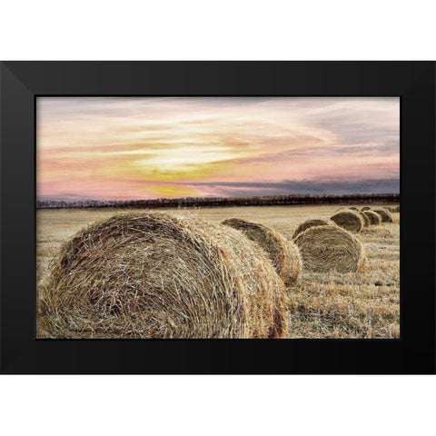Farmers Harvest Black Modern Wood Framed Art Print by Kimberly, Allen