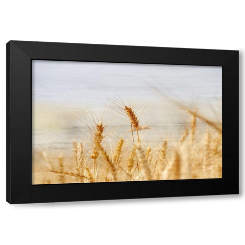 The Harvest Black Modern Wood Framed Art Print by Kimberly, Allen