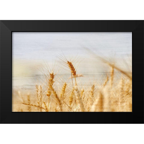 The Harvest Black Modern Wood Framed Art Print by Kimberly, Allen
