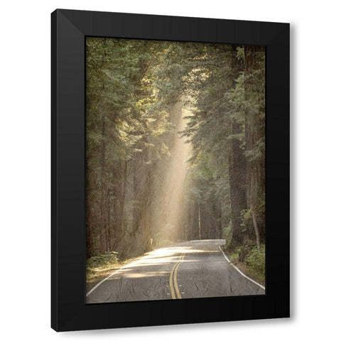 Lets get Lost Road Black Modern Wood Framed Art Print by Kimberly, Allen