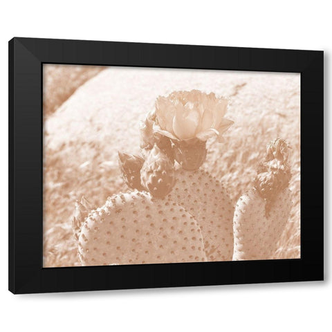 Follow Your Soul 1B Black Modern Wood Framed Art Print by Kimberly, Allen