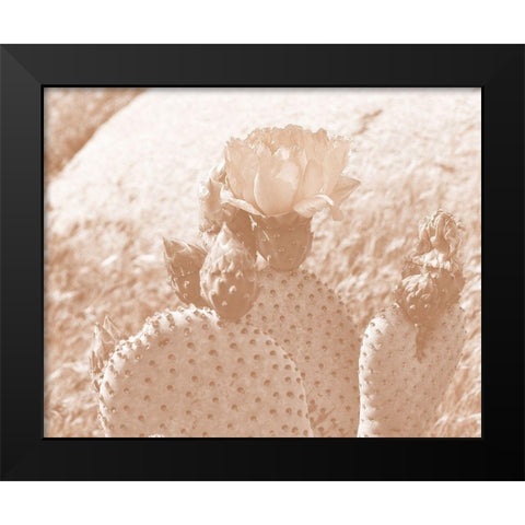 Follow Your Soul 1B Black Modern Wood Framed Art Print by Kimberly, Allen