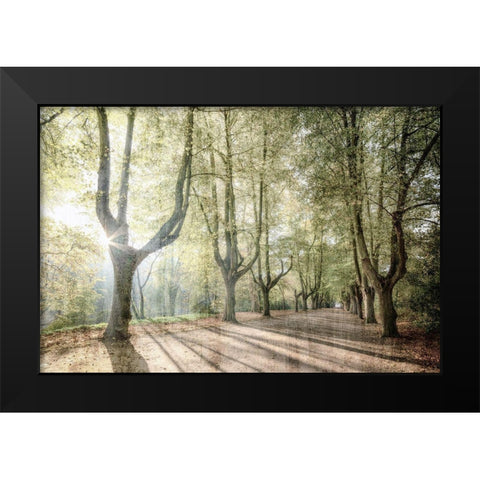Sunlight Streams Black Modern Wood Framed Art Print by Kimberly, Allen