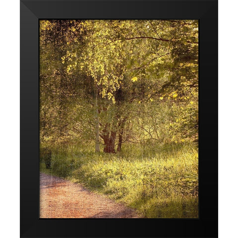 Sunlit Path 2 Black Modern Wood Framed Art Print by Kimberly, Allen