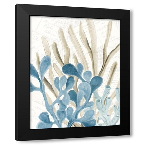 Coral Square 3 Black Modern Wood Framed Art Print with Double Matting by Kimberly, Allen