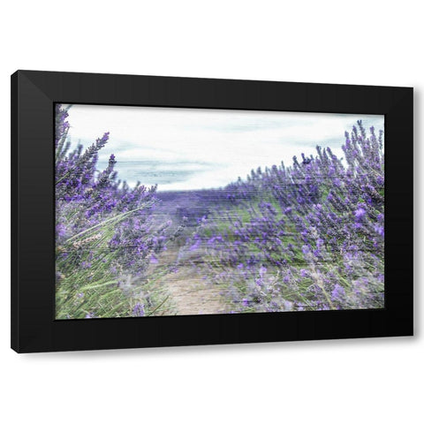 Lavender Field Black Modern Wood Framed Art Print by Allen, Kimberly