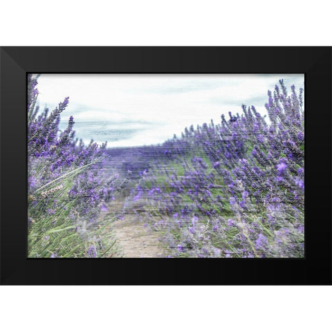 Lavender Field Black Modern Wood Framed Art Print by Allen, Kimberly
