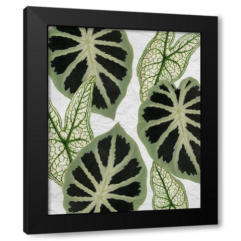 My Greens 2 Black Modern Wood Framed Art Print with Double Matting by Kimberly, Allen