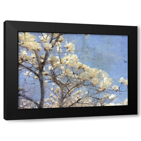 Magnolia Dream Black Modern Wood Framed Art Print with Double Matting by Allen, Kimberly