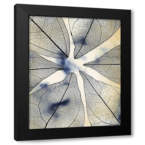 Transparent Leaves 1 Black Modern Wood Framed Art Print with Double Matting by Kimberly, Allen