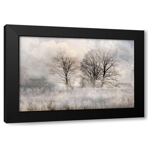 Winter Frost 3 Black Modern Wood Framed Art Print with Double Matting by Allen, Kimberly