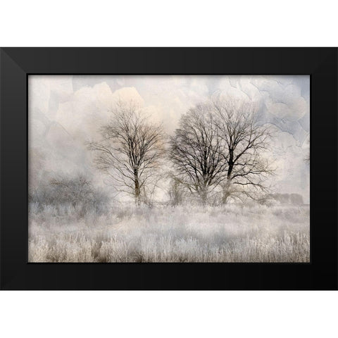 Winter Frost 3 Black Modern Wood Framed Art Print by Allen, Kimberly