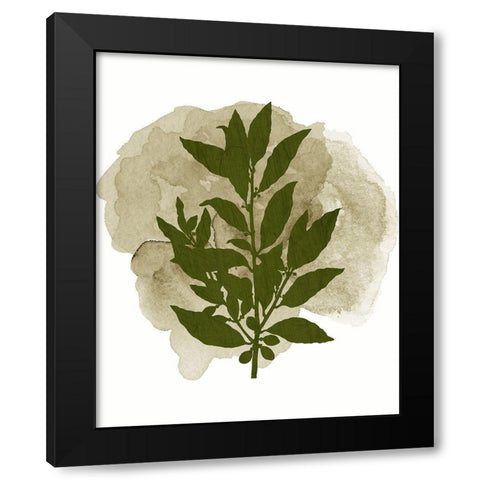 Botanical Branch 1 Black Modern Wood Framed Art Print with Double Matting by Kimberly, Allen