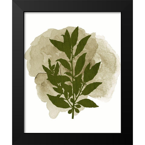 Botanical Branch 1 Black Modern Wood Framed Art Print by Kimberly, Allen