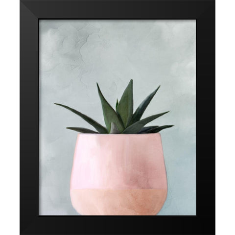 Potted Succulent 1 Black Modern Wood Framed Art Print by Allen, Kimberly