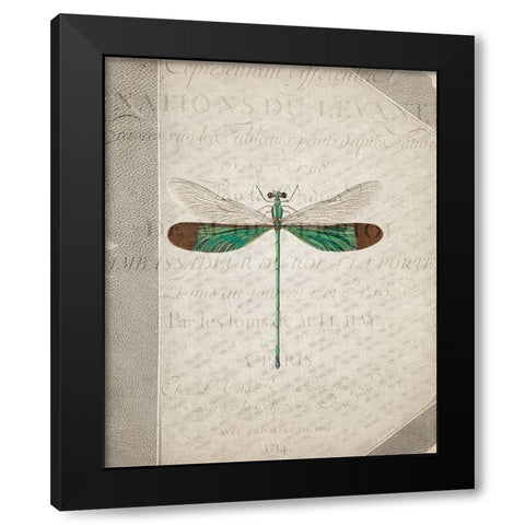 Dragonfly Book 2 Black Modern Wood Framed Art Print with Double Matting by Allen, Kimberly