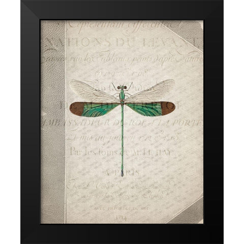 Dragonfly Book 2 Black Modern Wood Framed Art Print by Allen, Kimberly