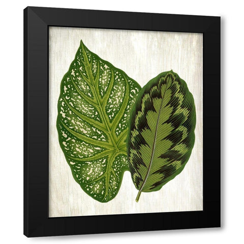 Botanical Greens 1 Black Modern Wood Framed Art Print with Double Matting by Allen, Kimberly