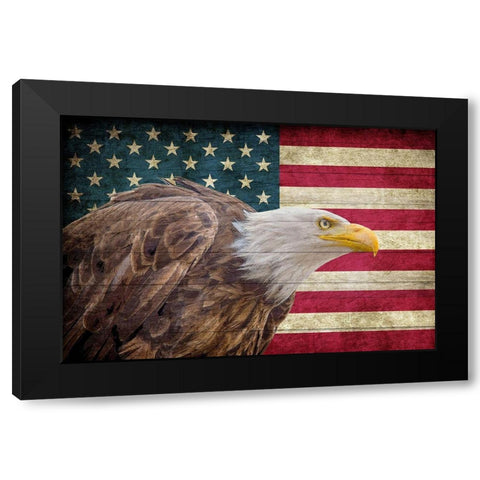 USA Eagle Black Modern Wood Framed Art Print by Allen, Kimberly