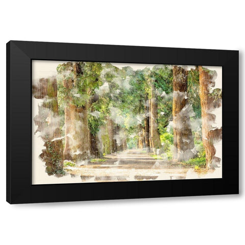 Tree Avenue Black Modern Wood Framed Art Print with Double Matting by Allen, Kimberly