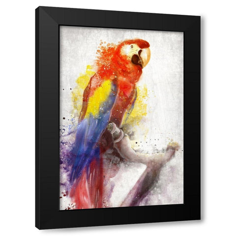 MaCaw Black Modern Wood Framed Art Print with Double Matting by Allen, Kimberly