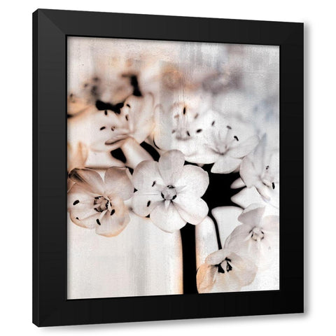 Leek Blossoms 1 Black Modern Wood Framed Art Print with Double Matting by Allen, Kimberly