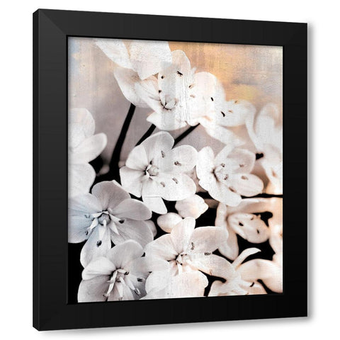Leek Blossoms 2 Black Modern Wood Framed Art Print by Allen, Kimberly