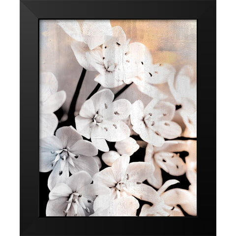 Leek Blossoms 2 Black Modern Wood Framed Art Print by Allen, Kimberly