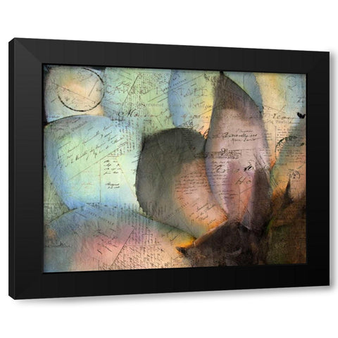 Carte Postale Succulent Black Modern Wood Framed Art Print by Allen, Kimberly