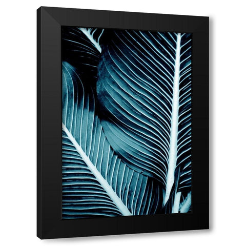 Tropical Blue 1 Black Modern Wood Framed Art Print with Double Matting by Allen, Kimberly
